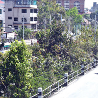 PM Oli directs TU to operate based on genuine meritocracy