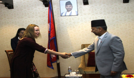 Norwegian ambassador pays courtesy call on VP Yadav
