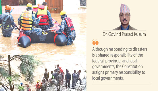 Disasters Demand Responsive System