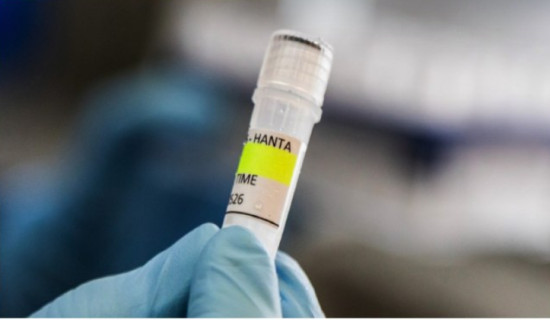 Hantavirus outbreak risk to public 'absolutely low': WHO
