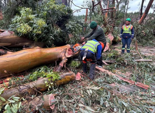 Severe weather causes widespread damage across South Africa's Garden Route