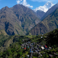 Health sector accorded top priority: CM Pandey