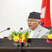 Syangja produces oranges worth Rs. 1.12 billion