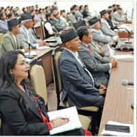 Syangja produces oranges worth Rs. 1.12 billion