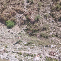 Dead body of female found in Karnali