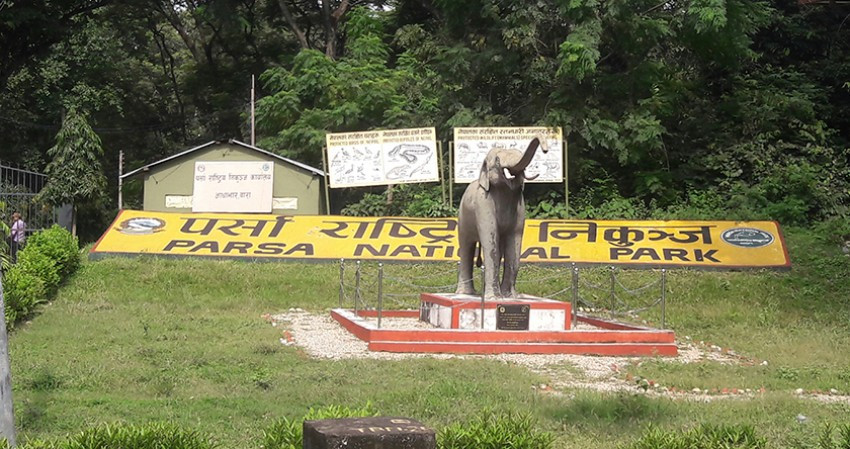 Wildlife Rescue Team in Parsa National Park