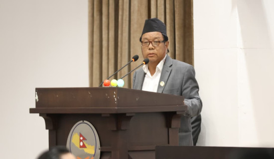 MP Pun calls on govt. to prioritize innovation and research