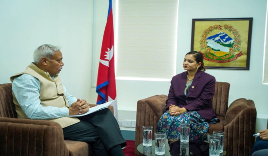 Indian envoy pays courtesy call on Health Minister Mehta