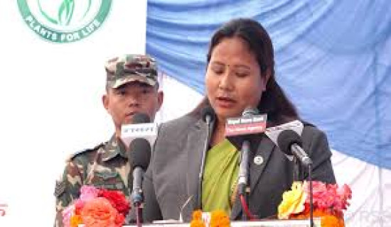 Forest Minister Chaudhary assumes office as NTNC Chairperson