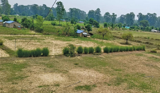 Bardiya National Park's land encroached, authorities indifferent