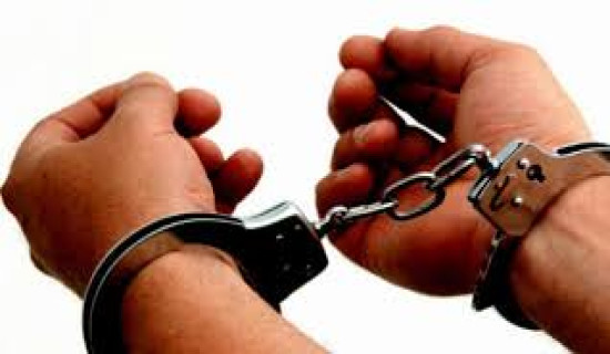 Badi rights activist Dr Roshani Badi in police custody