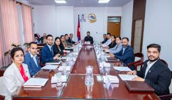 Shrestha appointed as Acting Executive Director of NEA