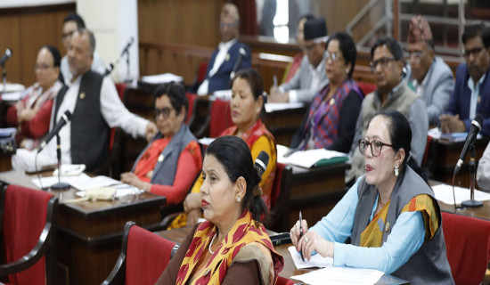 NA lawmakers stress on promotion of investment, agriculture and tourism