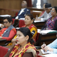 NA meeting: Lawmakers draw government's attention on various issues