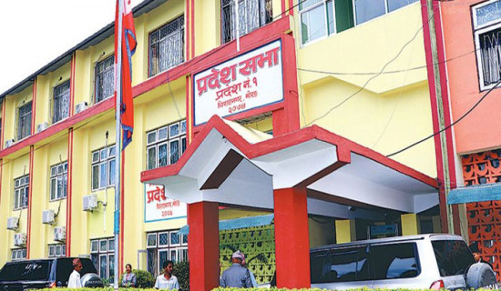 Birat Gold Cup: APF into semi-finals