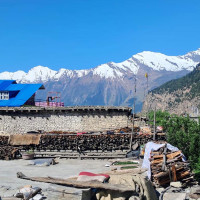 Tara Air to resume Pokhara-Jomsom flight from tomorrow