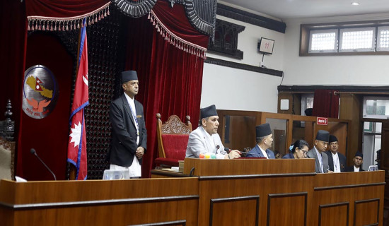 NA endorses govt policies and programmes