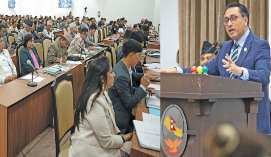 Both Houses endorse policies, programmes