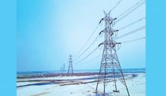 Hetauda-Dhalkebar transmission line construction gets momentum