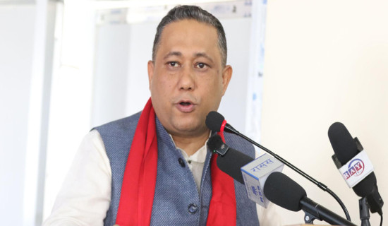 Minister Khanal asks local govt to stress long-term plan