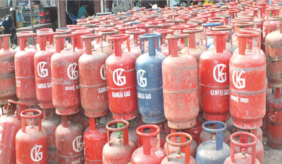 Strategy to provide electric stoves in subsidy to reduce mounting cost for LP gas import