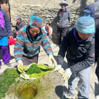 Cricket World Cup League 2: Nepal asked to bowl first