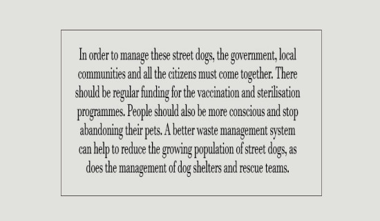 Manage Street Dogs