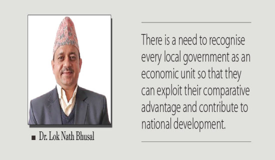 Local Governments In Local Development