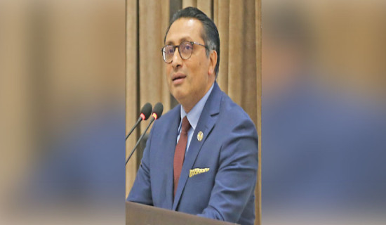 Good governance key economic agenda: Dr. Wagle