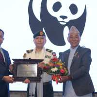 NHRC settles 412 complaints