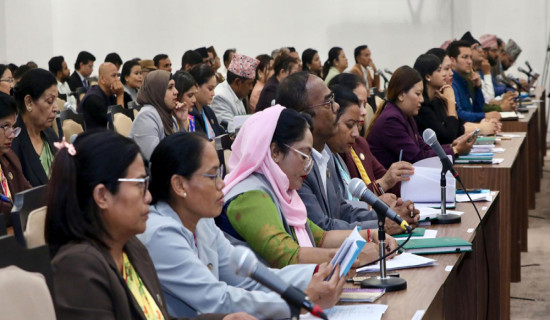 HoR meeting: MPs draw govt's attention on health, disaster, squatter, road safety issues