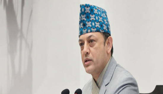 HoR meeting: MPs draw govt's attention on health, disaster, squatter, road safety issues