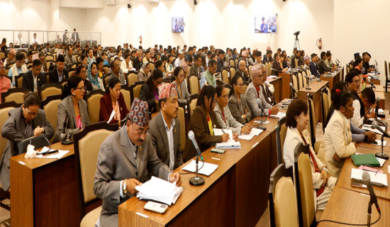 HoR meeting: Lawmakers draw govt. attention on various issues, district border dispute