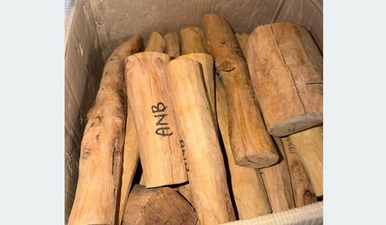 Indian Home Minister Shah provides 40 kg of sandalwood to Nepal
