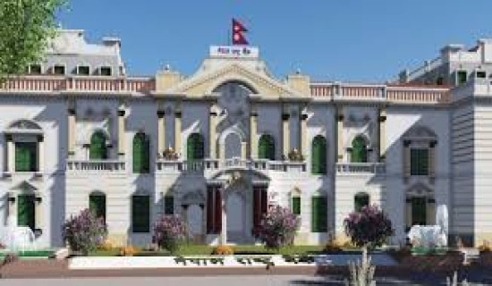 NRB absorbing Rs 100 billion to manage liquidity