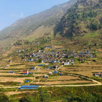 Minister Badi calls for policy reforms