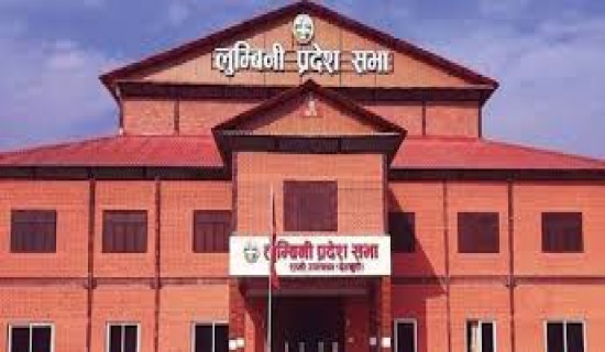 NC's Dilli Raj Panta wins from Kailali-5