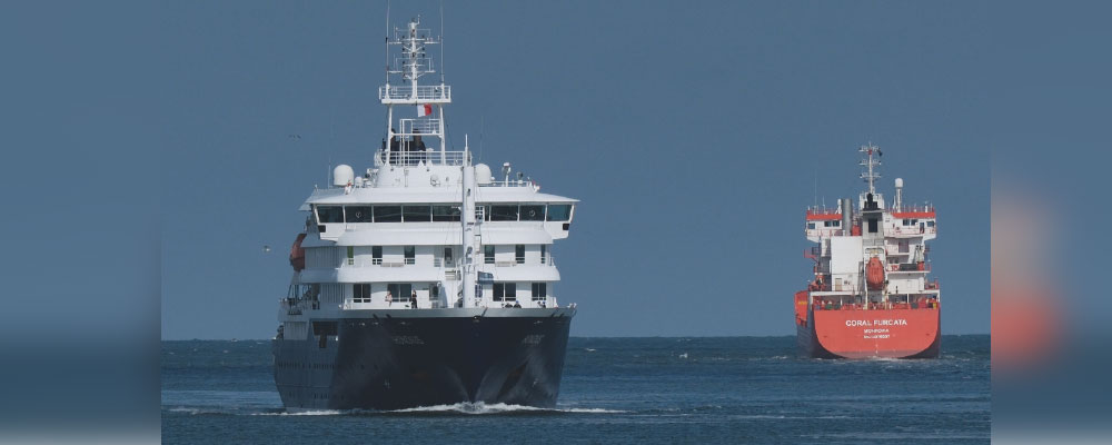 South Africans trace cruise ship hantavirus