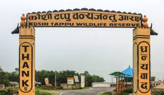 Koshi Tappu Wildlife Reserve attracts 11,603 visitors so far in current fiscal year