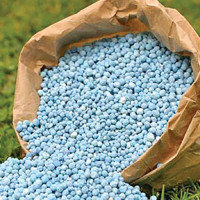 Tea worth Rs 1.71 billion exported in first quarter