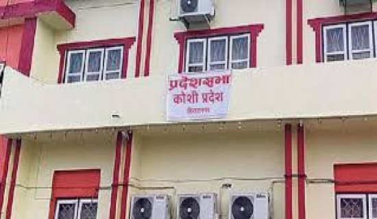 Koshi government's policy and programmes passed unanimously