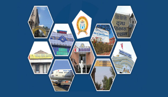Govt investment nears Rs. 800 billion  in PEs as dividends gradually decline
