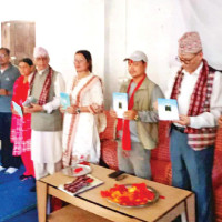 Minister Shrestha underscores domestic electricity use