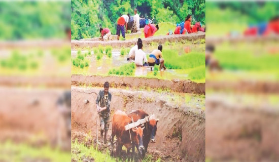 Pradhan launches book on hill farming
