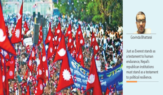 Strengthening Democratic Institutions