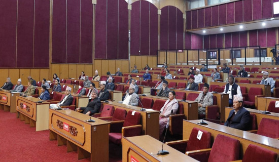 National Assembly meeting begins