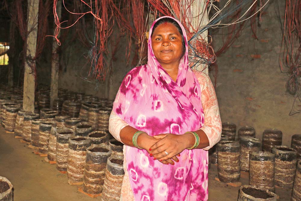 Farmers thrive in mushroom, grain production
