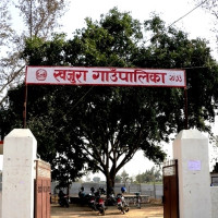Tiger attack injures woman in Chhaugoth in Kailali