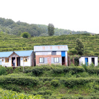 Ranimahal, a symbol of Love