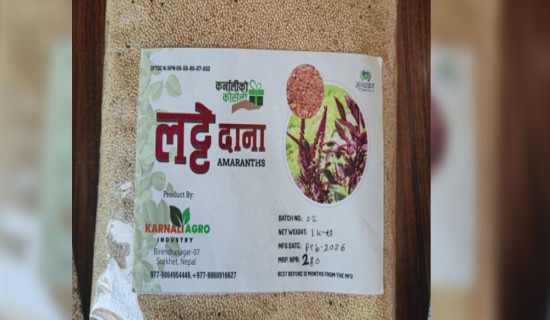 Demand for nettle, latte rising in cities makes villagers hopeful